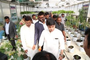 दीक्षांत समारोह