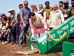 मुख्यमंत्री कार्यक्रम